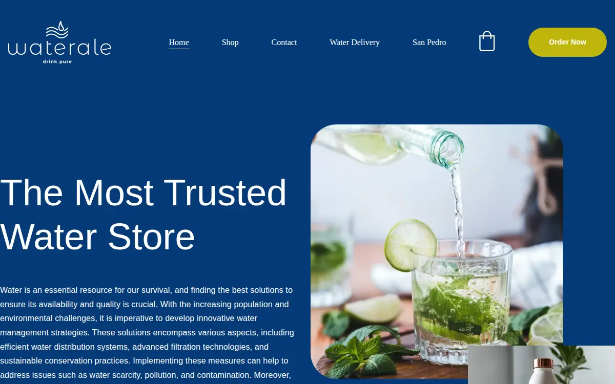 Homepage of Waterale LLC
