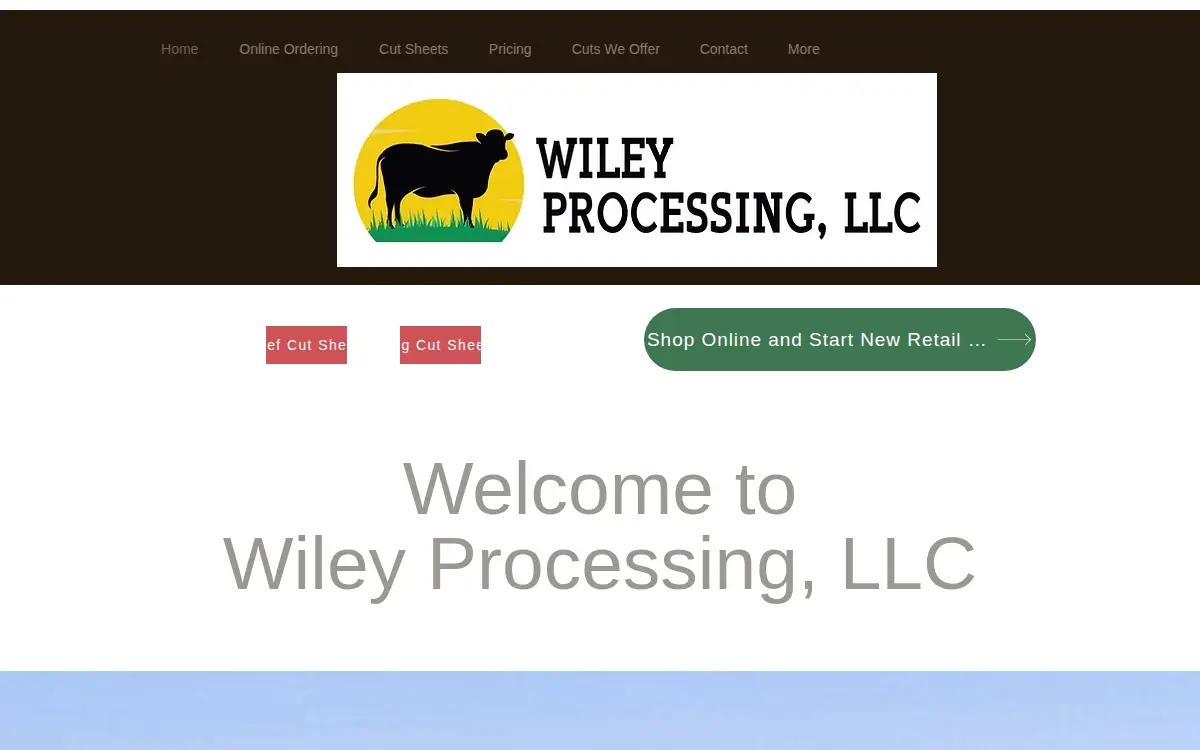 Homepage of Wiley Processing LLC