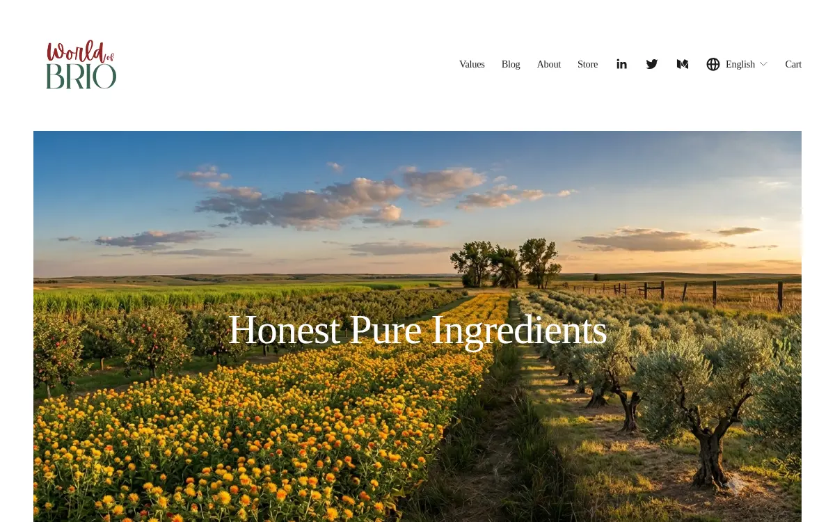 Homepage of Brio Ventures INC
