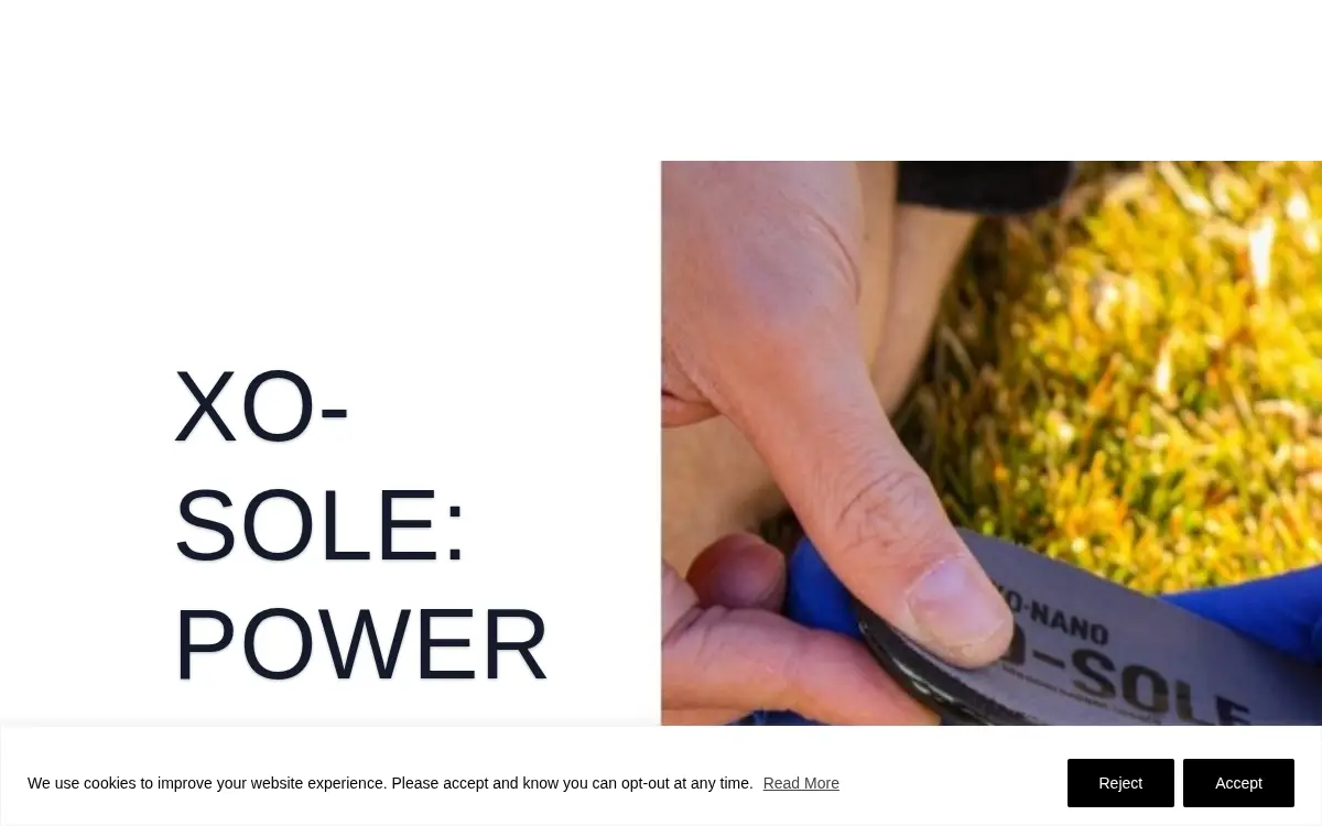 Homepage of Nano Composite Products, INC