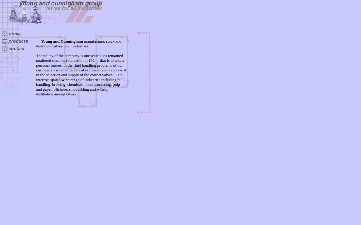 Homepage of Young & Cunningham America, INC.