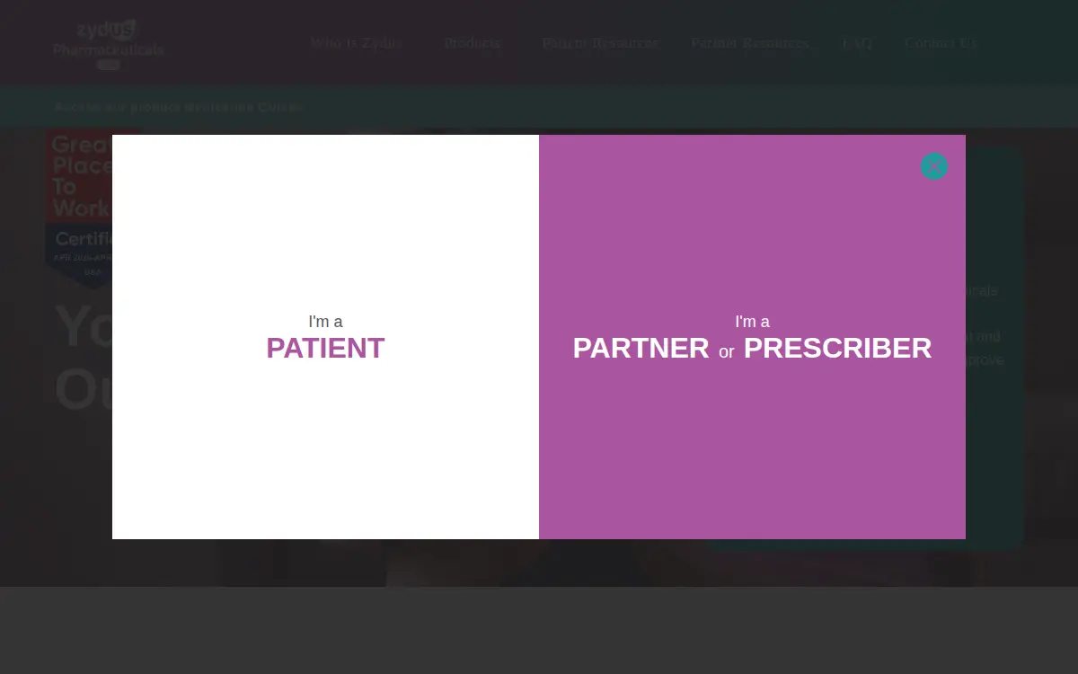Homepage of Zydus Pharmaceuticals (usa) INC.