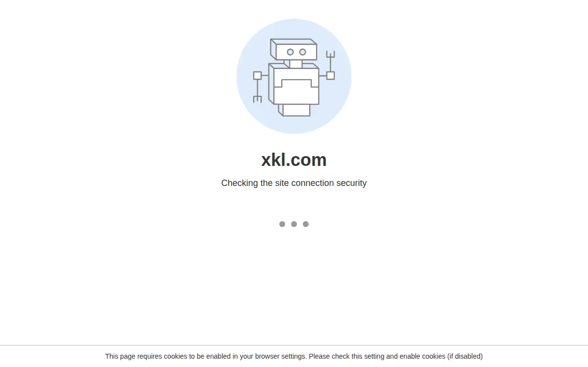 Homepage of Xkl, L.l.c.